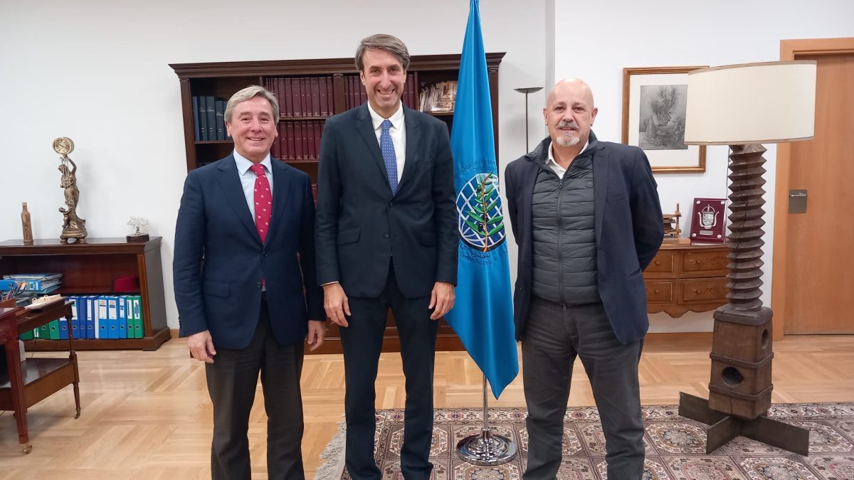 ASEMESA PIDE AL COI QUE APOYE LA  ACEITUNA DE MESA COMO AL ACEITE DE OLIVA